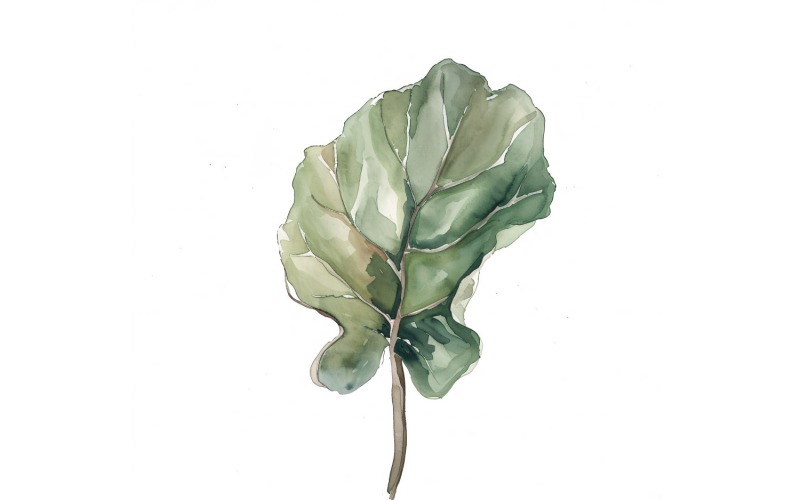 Pittura in stile acquerello con foglie di violino 4