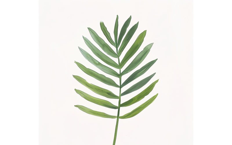 Pittura stile acquerello con foglie di palma Areca 8