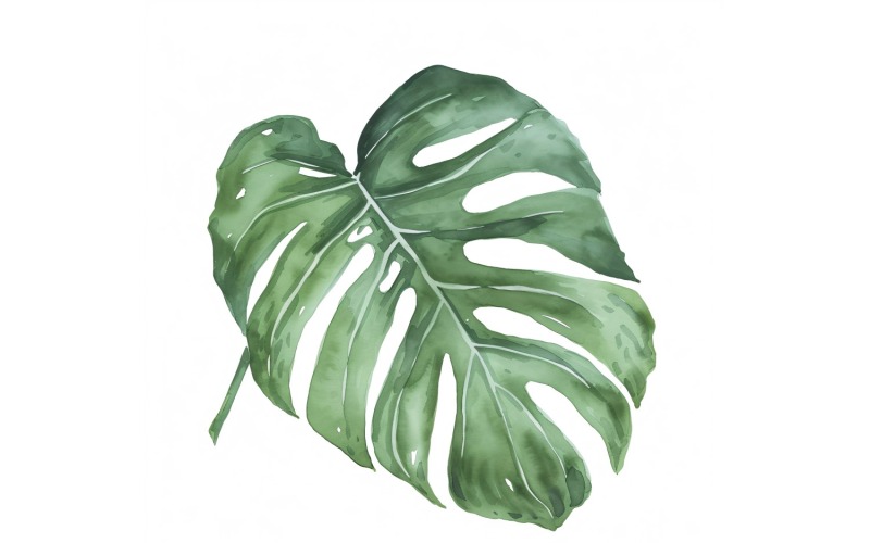 Monstera laisse une peinture de style aquarelle 4