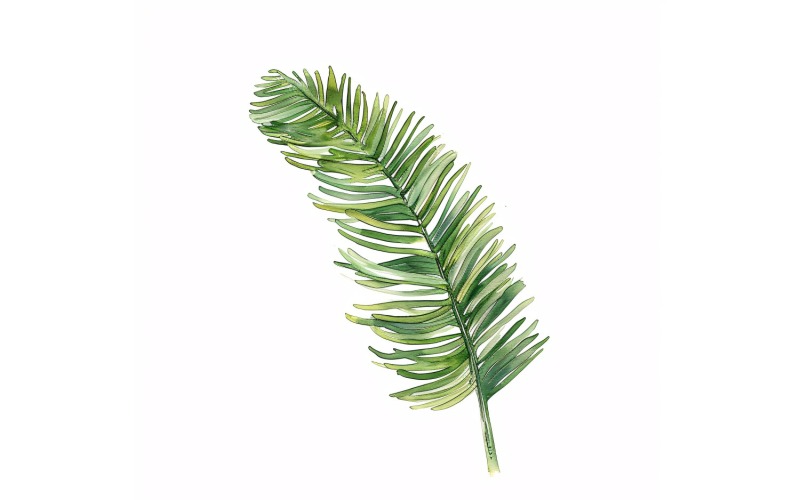 Norfolk Leaves akvarellmålning 4
