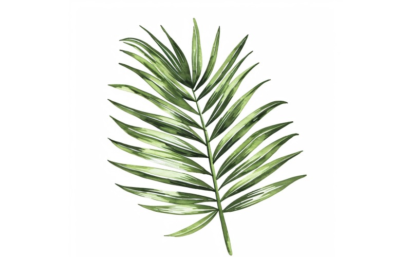 Peinture de style aquarelle de feuilles de palmier 1