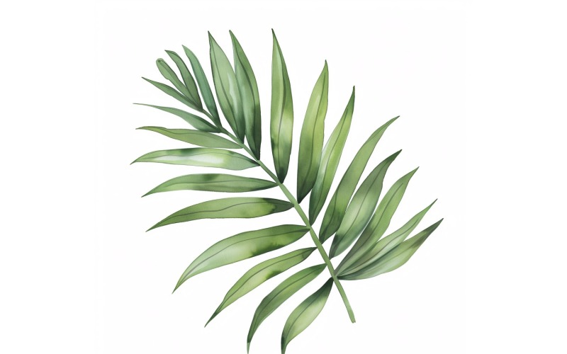 Peinture de style aquarelle de feuilles de palmier 7