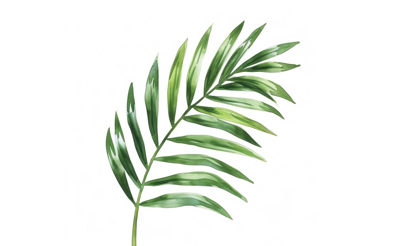 Pintura estilo aquarela de folhas de palmeira 3