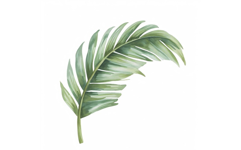 Pintura estilo aquarela de folhas de palmeira 6