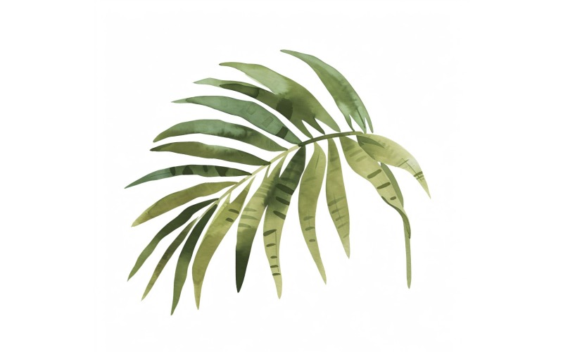 Pittura in stile acquerello con foglie di palma