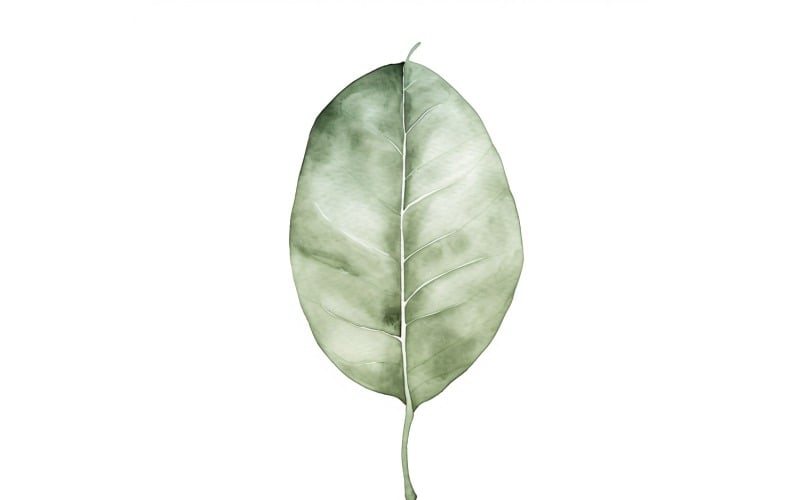 Gummiblad Målning i akvarellstil 1