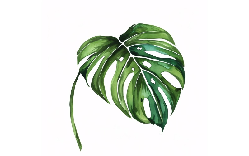 İsviçre Peyniri Yaprakları Suluboya Tarzı Resim 2