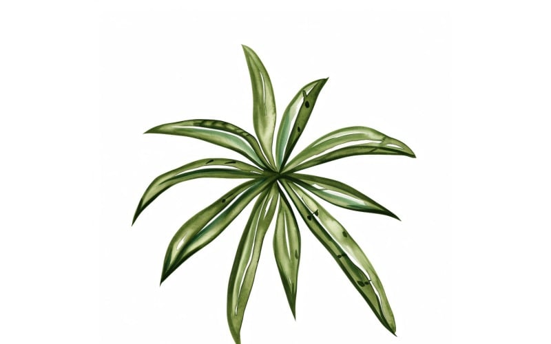 Örümcek Yaprakları Suluboya Tarzı Resim 1