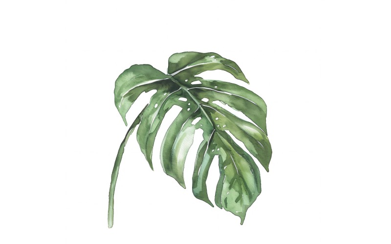 Pintura estilo acuarela de hojas de filodendro 1