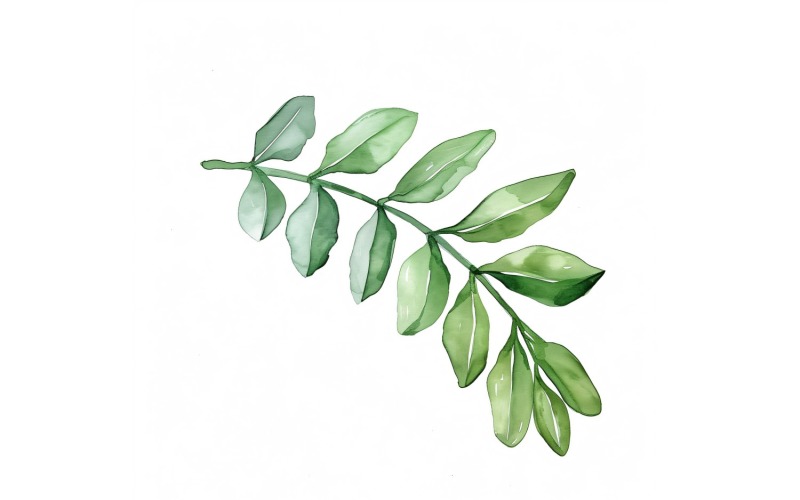 Pittura in stile acquerello con foglie di piante ZZ 4