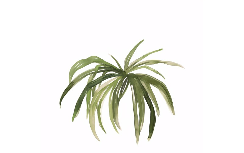 ponytail palm leaf  Watercolour Style Painting 2