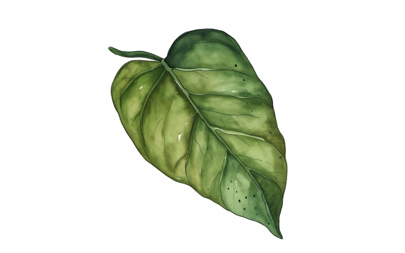 Pothos Leaves Akvarellmålning 2
