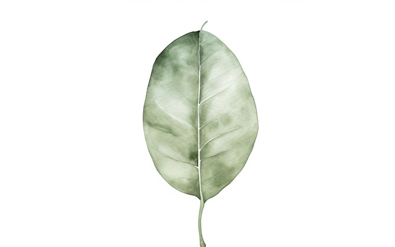 Rubber Leaves Watercolour Style Painting 1