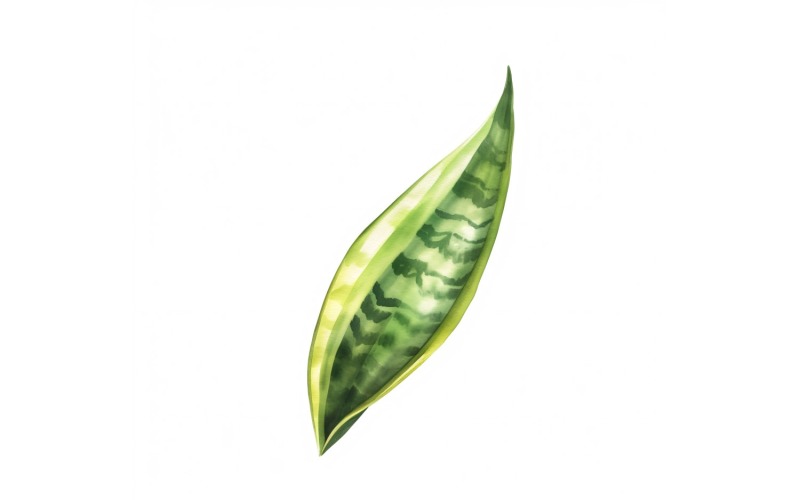 Змеиные листья акварелью. Картина 4.