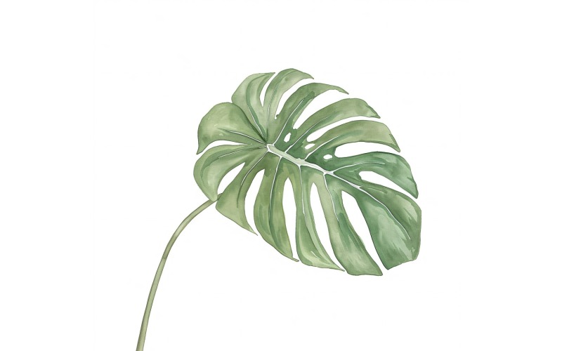 Zwitserse kaasblaadjes aquarelstijl schilderij 6