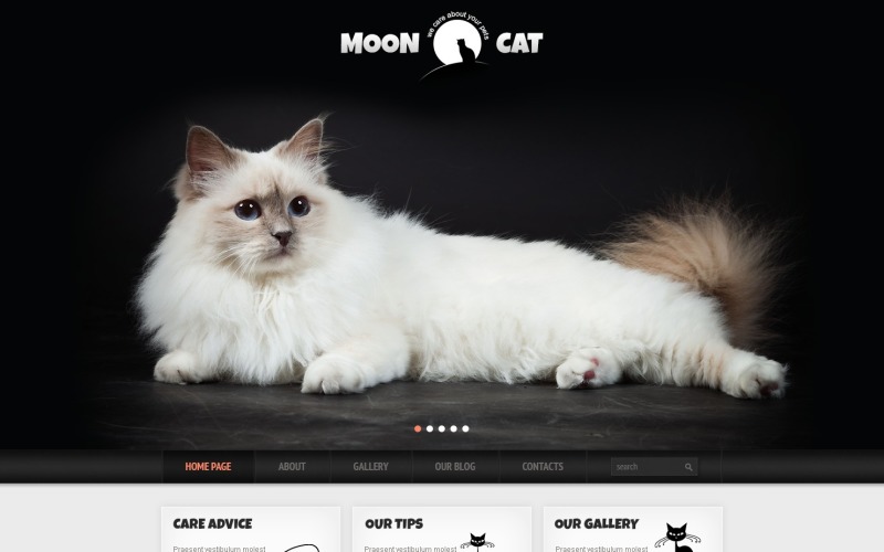Konceptuální téma WordPress pro kočky