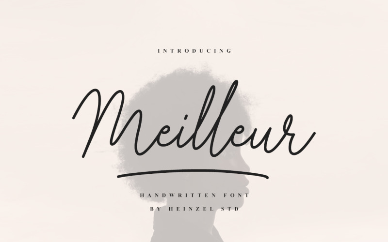 Meilleur Handwritten Schriftart