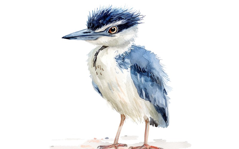 Aranyos Koronás Night Heron Bird Baby akvarell kézzel készített illusztráció 3
