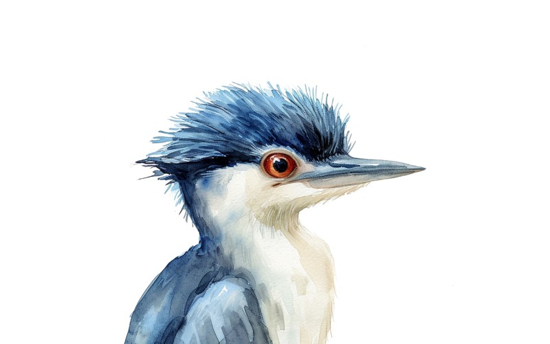 Söt Crowned Night Heron Bird Baby Akvarell Handgjord illustration 4