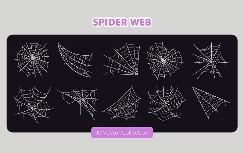 Spinnenweb Vector Set collectie