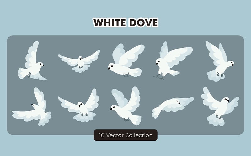 Witte Duif Vector Set Collectie