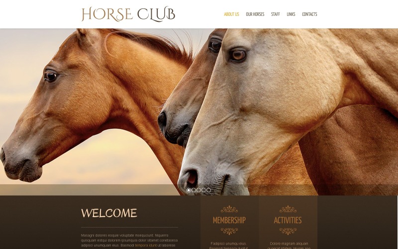 Modello di sito Web di cavallo