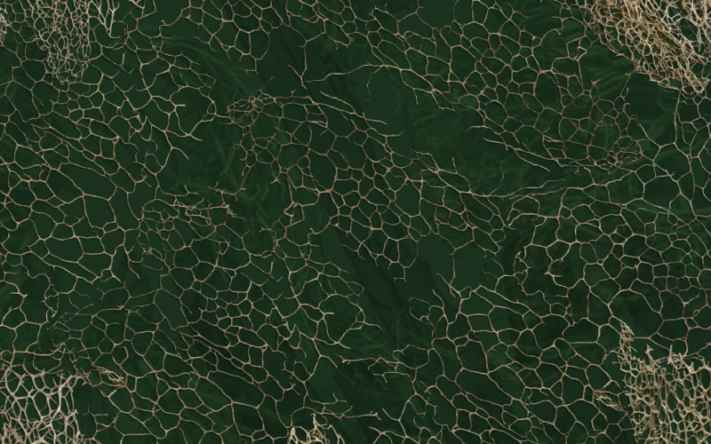 自然背景 第一卷