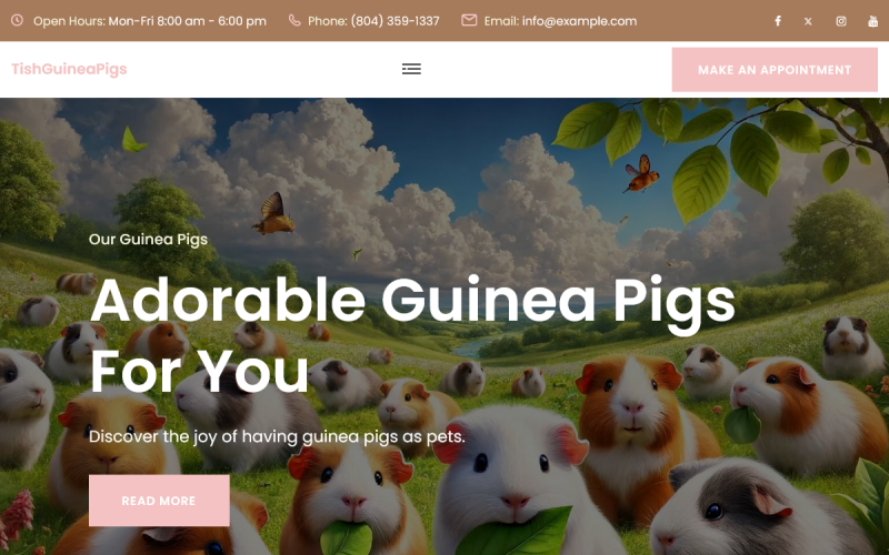 TishGuineaPigs - 豚鼠 WordPress 主题