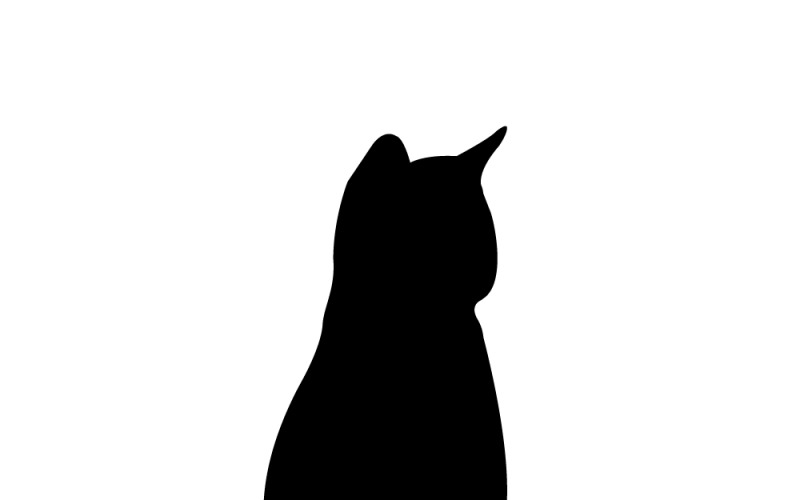 Siluetta del gatto nero. Concetto per logo e adesivo