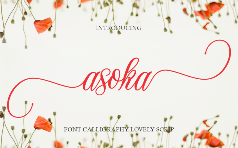 Asoka Handwritten Font Calligraphy