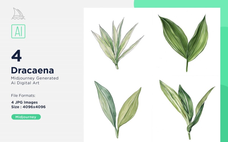 Dracaena Bitki Yaprakları Suluboya 4'lü Takım