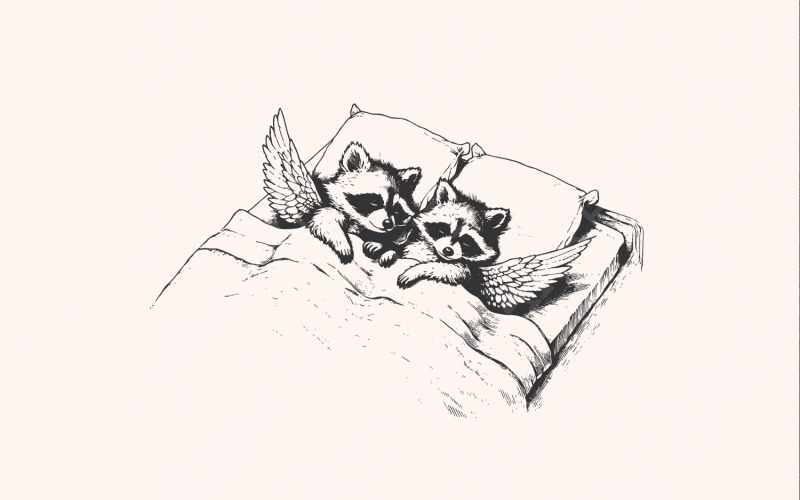 Angel Raccoons PNG, Cute Trash Panda, Be Kind Funny Raccoon, Raccoon ...