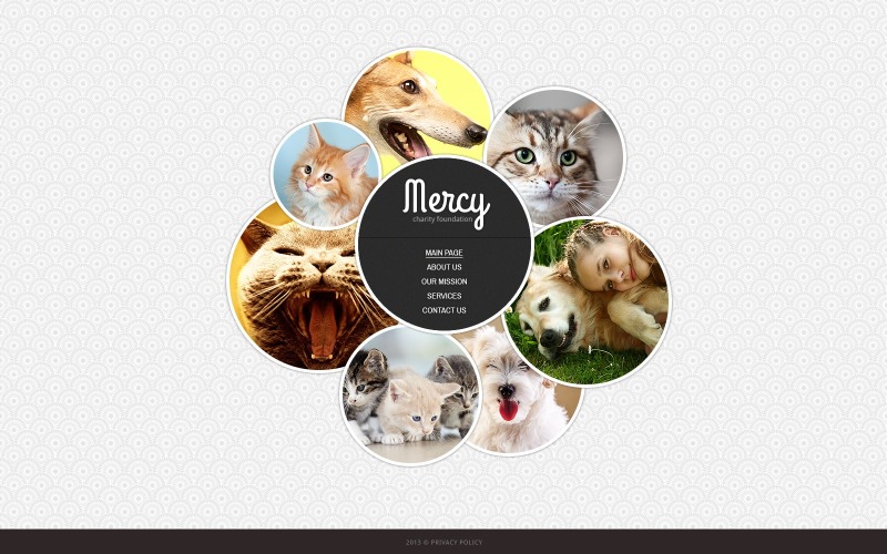 动物收容所网站模板