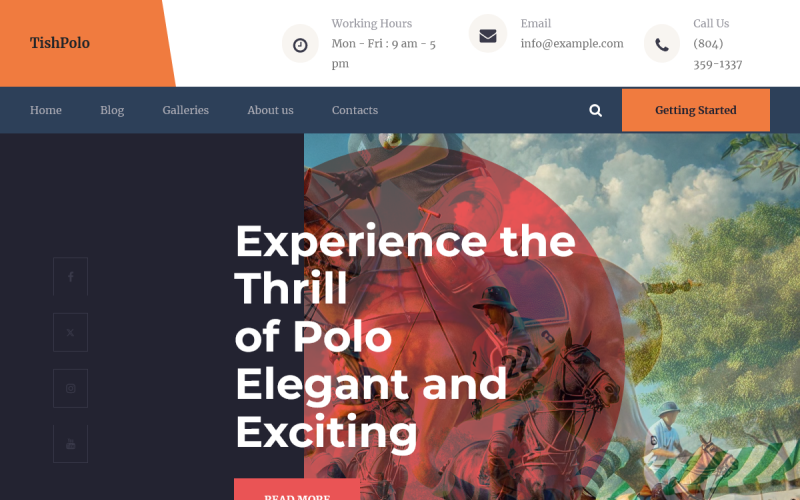 TishPolo-Polo WordPress 主题