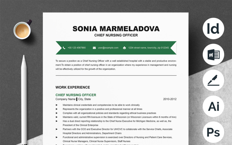 Conception de modèle de CV simple et propre