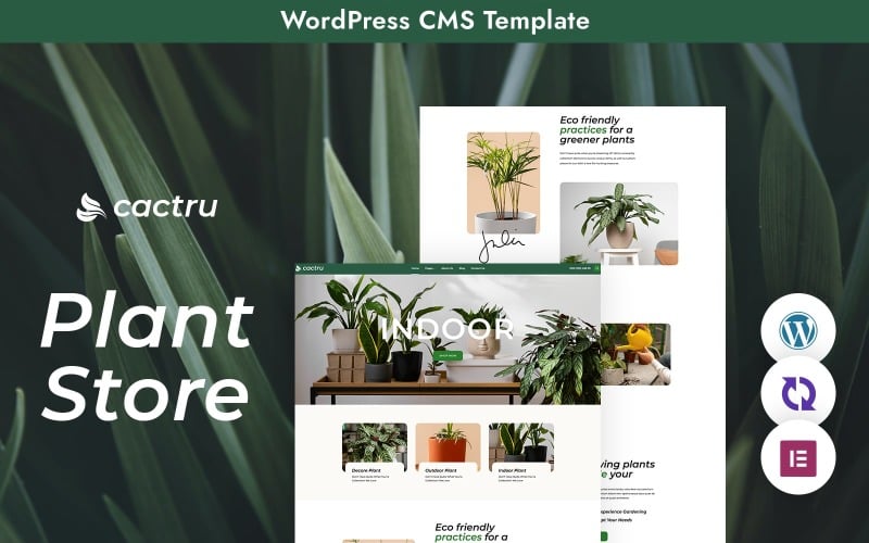Tema de WordPress Cactrus: una experiencia única en Plant Studio