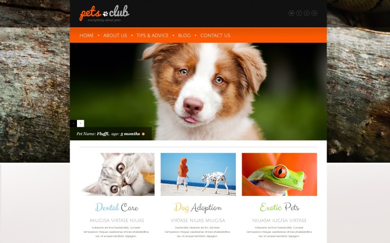 Motyw WordPress White Animals & Pets