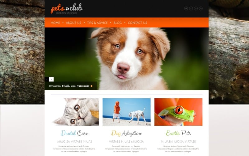 Witte dieren en huisdieren WordPress-thema