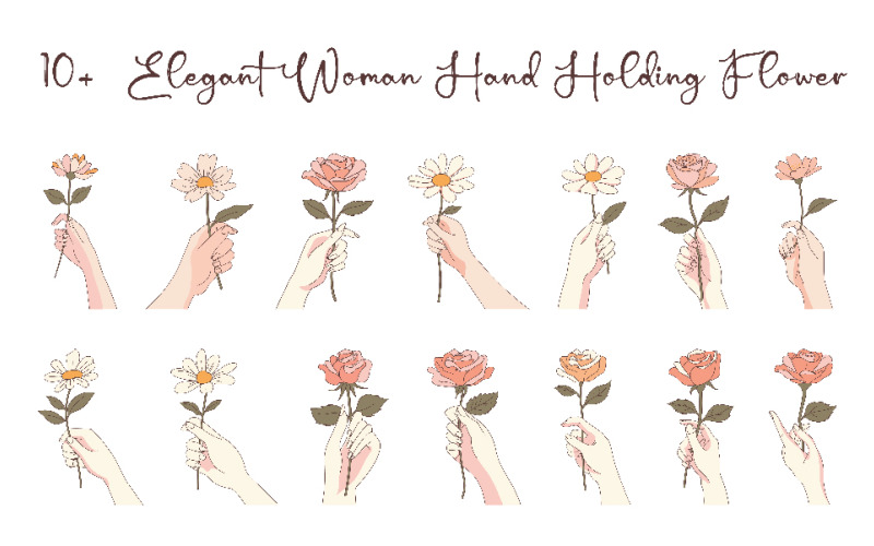 10+ Frau Hand hält Blume Blumen