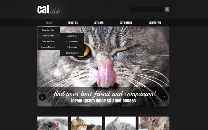 Cat Responsive Website-Vorlage