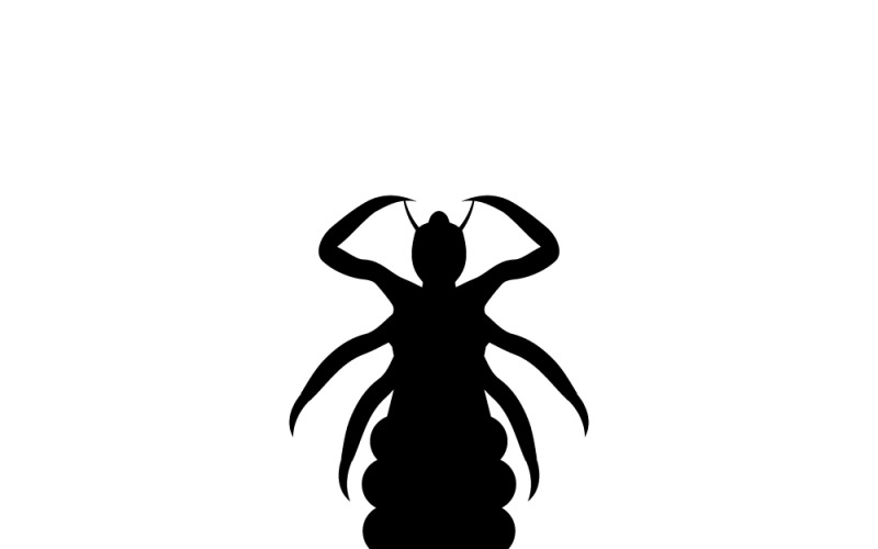 Silhouette Head Human Lus Pediculus Humanus