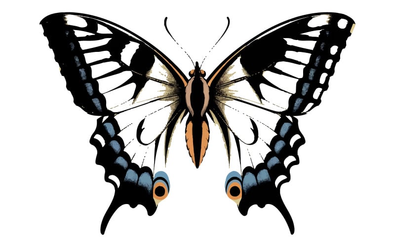 Красота бабочка насекомое значок белый фон