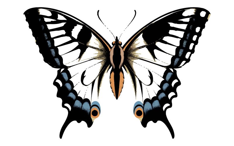 Schoonheid vlinder insect pictogram witte achtergrond