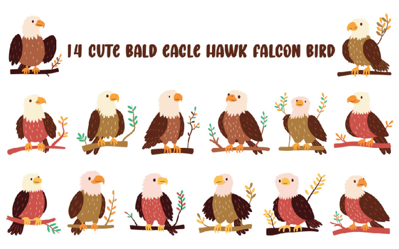 14 schattige Amerikaanse zeearend havik valk vogel