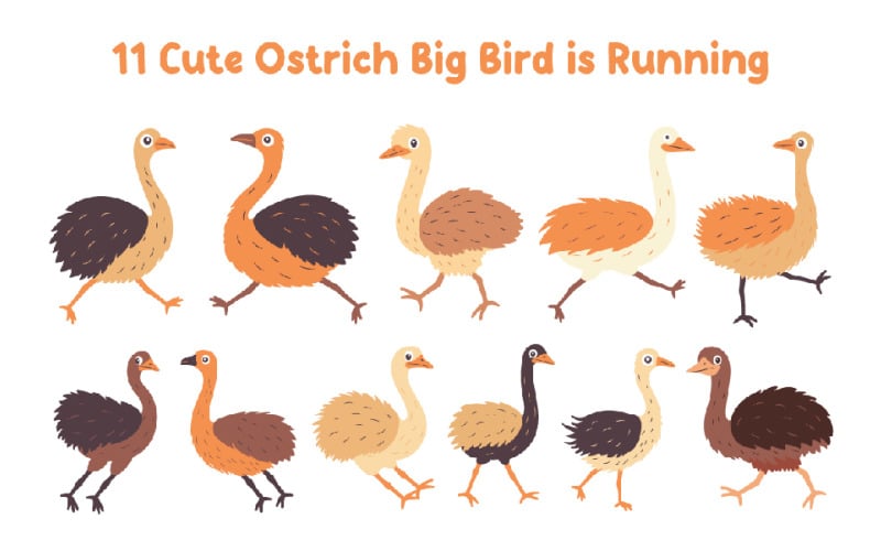 11 Carino Struzzo Grande Uccello Sta Correndo