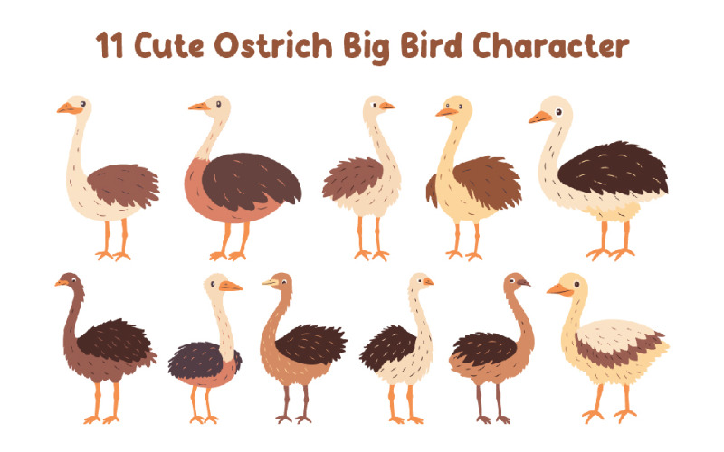 11 Cute Ostrich Big Bird Character