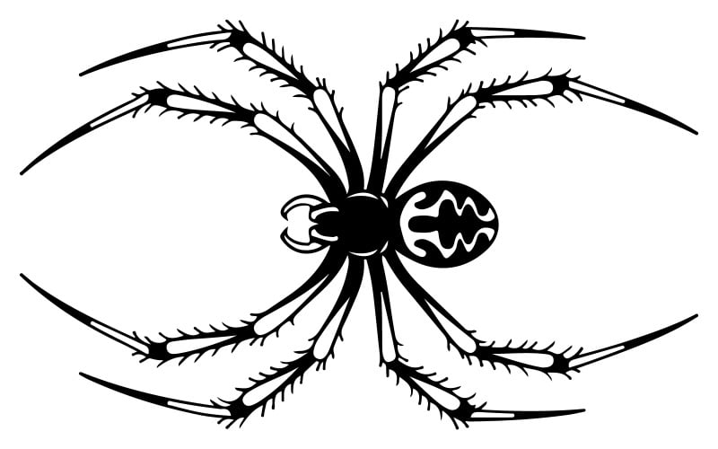 Une illustration de silhouette d'araignée