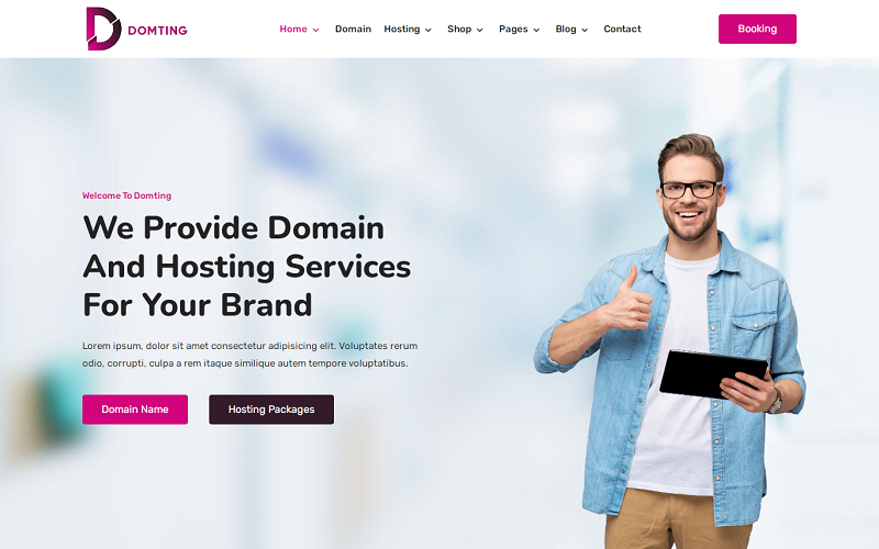 Domting - Domän- och värdleverantör Företag och byrå Elementor WordPress-tema