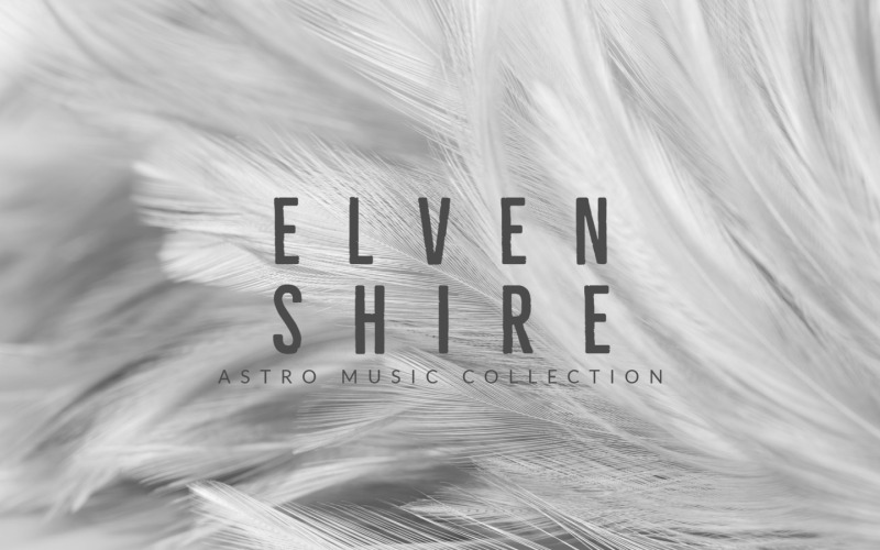 风之恶魔 / ELVEN SHIRE