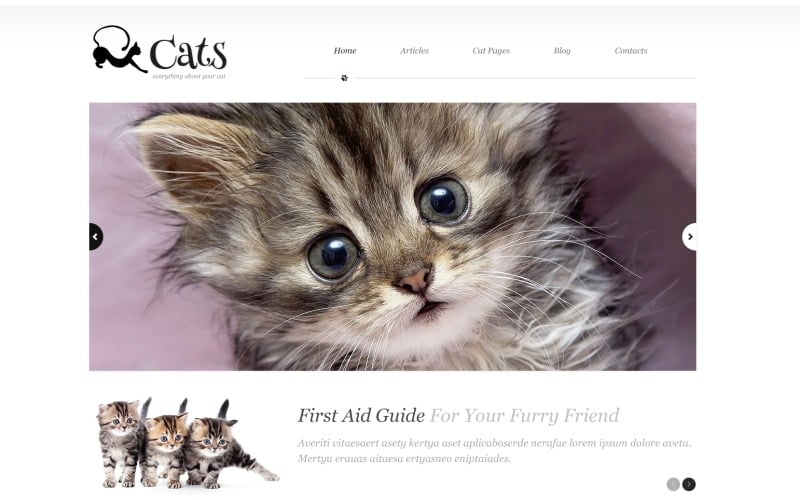 À propos du thème WordPress pour chats